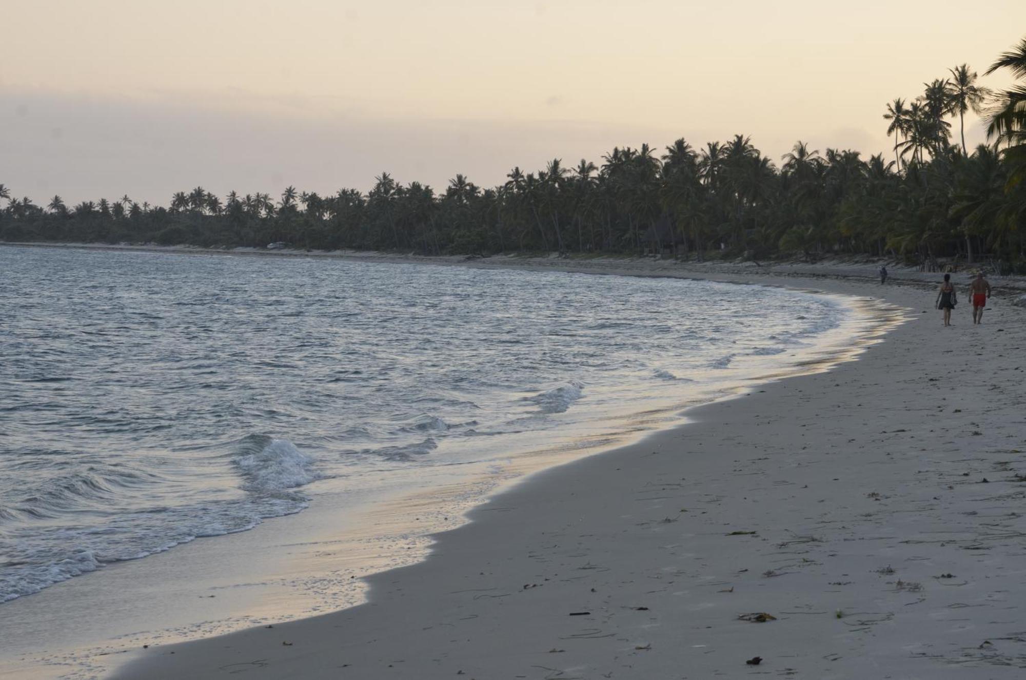 Lui Ushongo Beach House Pangani Exteriör bild