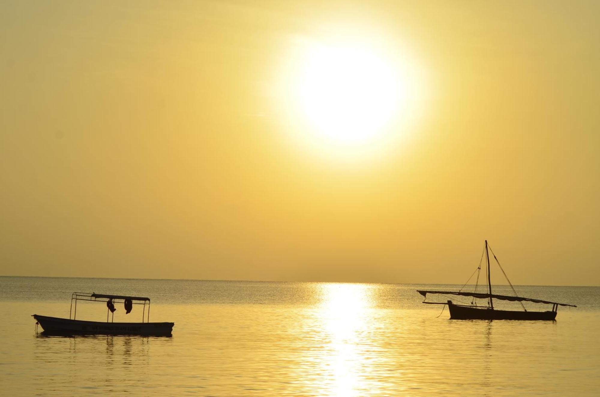 Lui Ushongo Beach House Pangani Exteriör bild